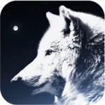 wolf wallpaper android application logo